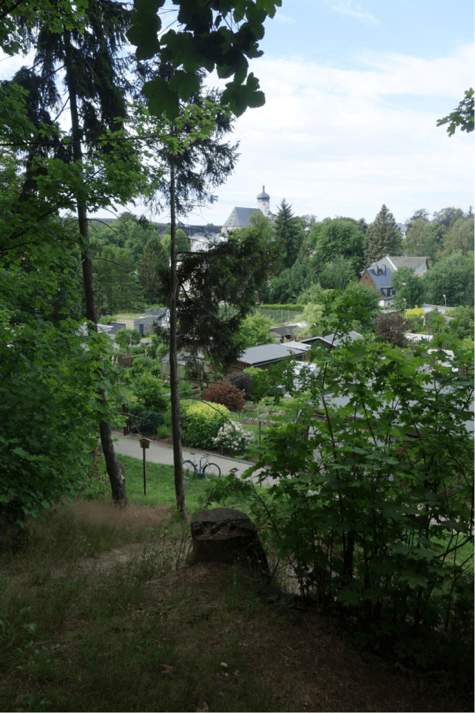 View from the waste heap of Jung Fabian Sebastian in Marienberg, a mine run with Dutch money, overlooking some gardens and the author’s bicycle (2020).